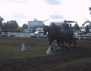 chio aachen